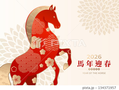 年賀状 年賀はがき 年賀ハガキ 134371957