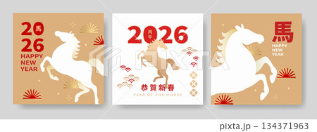 年賀状 年賀はがき 年賀ハガキ 134371963