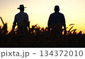 Farmers shake hands over a successful harvest, Golden wheat fields at sunset, Cooperation in agriculture, Partnership amid the crops, Celebrating a bountiful season, Unity in farming, Farmers bonding 134372010