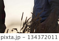 A farmer's handshake in the wheat field at dusk, Celebrating a successful harvest with a handshake among wheat, Two farmers agreeing on a deal amidst golden wheat fields, Hands locked in partnership 134372011