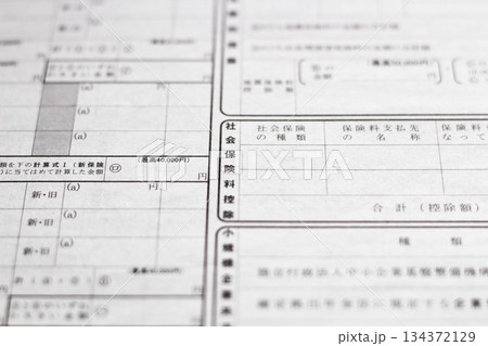 年末調整　給与所得者の保険料控除申告書　申告 134372129