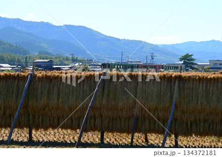 遠野の水田地帯を走る釜石線のディーゼルカー（快速はまゆり） 134372181