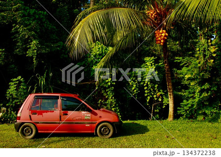 赤いクルマとヤシの木と（サンダカン／東マレーシア） 134372238