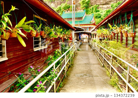 軒先の植木鉢（サンダカン／東マレーシア･ボルネオ島） 134372239