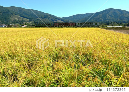 遠野の水田地帯を走る釜石線のディーゼルカー（快速はまゆり） 134372265