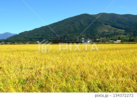 遠野の水田地帯を走る釜石線のディーゼルカー（快速はまゆり） 134372272