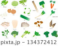 毎日食べる野菜イラストセット 134372412