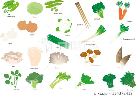 毎日食べる野菜イラストセット 134372412