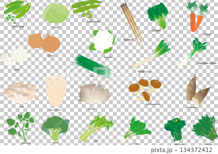 毎日食べる野菜イラストセット 134372412