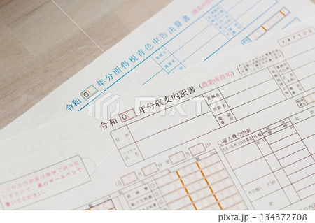 確定申告 農業所得用 農家 青色申告決算書 収支内訳書 確定申告 農業所得用 農家 青色申告決算書 収支内訳書 134372708
