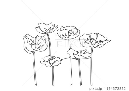 A single line drawing of blooming poppy flowers created for Opium Suppression Movement Day, representing health concept and global awareness theme with symbolic nature design. 134372832