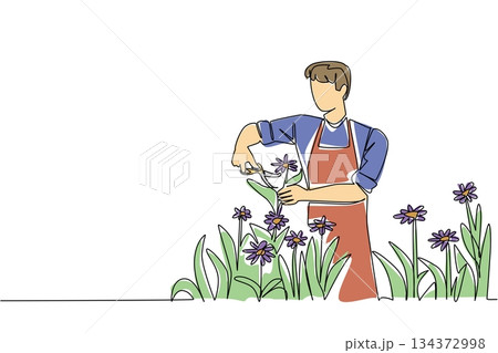 Continuous line drawing of a young man wearing apron cutting flowers in the garden, illustrating outdoor nature concept and highlighting National Gardening Exercise Day global awareness. Continuous line drawing of a young man wearing apron cutting flowers in the garden, illustrating outdoor nature concept and highlighting National Gardening Exercise Day global awareness. 134372998