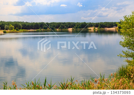 View of a beautiful lake in a pine forest at summer 134373093