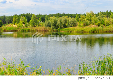 View of a beautiful lake in a pine forest at summer View of a beautiful lake in a pine forest at summer 134373094