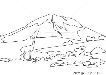 A continuous line drawing featuring a llama standing near Chimborazo mountain, symbolizing Ecuador rich culture and nature concept, created for Chimborazo Day celebration design. 134373409