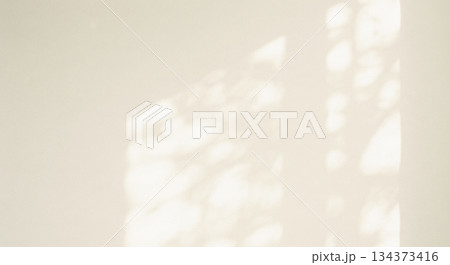 植物 影 光 日差し 室内 植物 影 光 日差し 室内 134373416