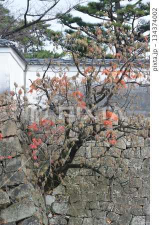 岸和田城の石垣（大阪府岸和田市岸城町） 134374002