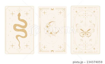 Tarot card frame set spiritual esoteric reverse border light magic sacred cover card. Mystic elements moon, sun, magic moth, snake fantasy sign. 134374059