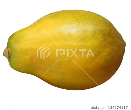 パパイヤ 134374117