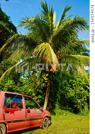 赤いクルマとヤシの木と（サンダカン／東マレーシア） 134374574
