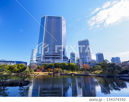 晩秋の旧芝離宮恩賜庭園 134374592