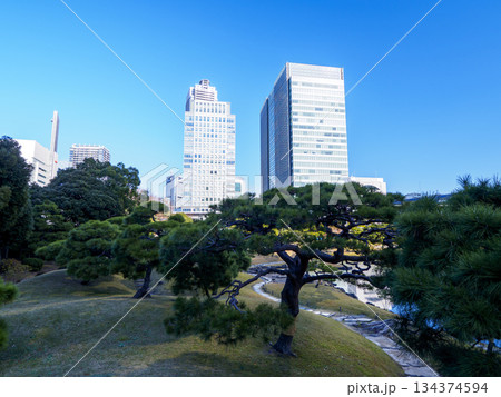 晩秋の旧芝離宮恩賜庭園 134374594
