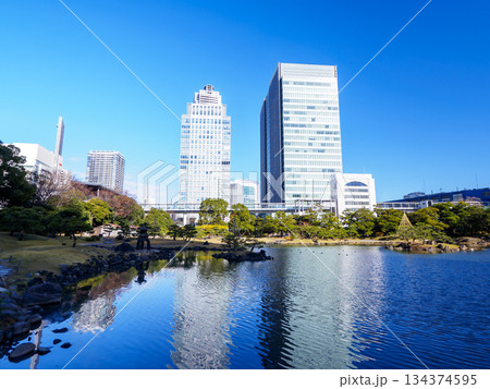 晩秋の旧芝離宮恩賜庭園 134374595