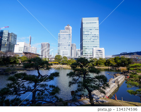 晩秋の旧芝離宮恩賜庭園 134374596