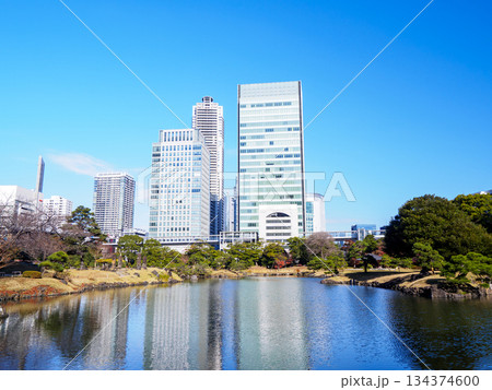 晩秋の旧芝離宮恩賜庭園 晩秋の旧芝離宮恩賜庭園 134374600