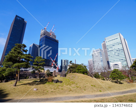 晩秋の旧芝離宮恩賜庭園 晩秋の旧芝離宮恩賜庭園 134374602