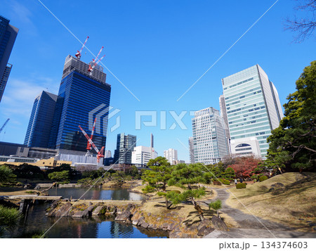 晩秋の旧芝離宮恩賜庭園 134374603