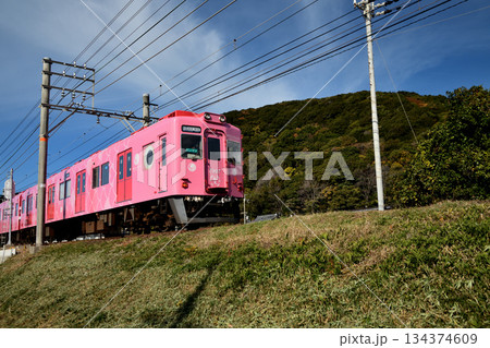 磯ノ浦海水浴場近くを走るめでたい電車(南海電鉄・加太線)　【和歌山県和歌山市】　 134374609
