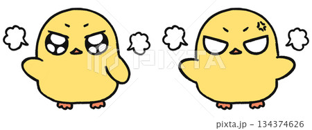 手描き、可愛いヒヨコのキャラクター、怒っている表情2種類セット 134374626