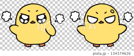手描き、可愛いヒヨコのキャラクター、怒っている表情2種類セット 134374626