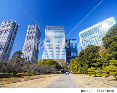 浜離宮恩賜庭園から見た高層ビル群 浜離宮恩賜庭園から見た高層ビル群 134374696