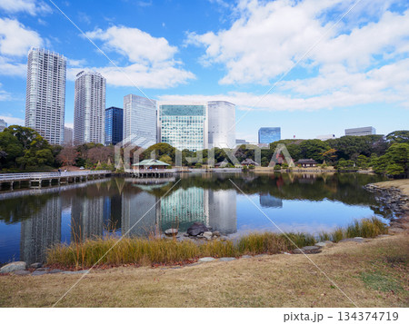 浜離宮恩賜庭園から見た高層ビル群 浜離宮恩賜庭園から見た高層ビル群 134374719