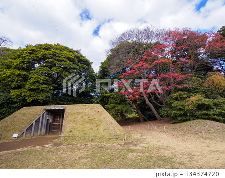 浜離宮恩賜庭園から見た高層ビル群 浜離宮恩賜庭園から見た高層ビル群 134374720