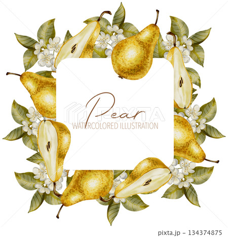 Watercolor botanical wreath featuring ripe pears, white blossoms, and green leaves. Perfect as a frame or logo element for wedding stationery, textile, packaging, and healthy food brands. 134374875