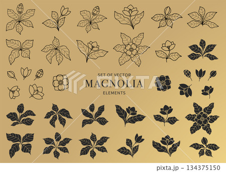 Hand Drawn Magnolia Vector Elements in Line Art and Silhouette Style for Botanical Decor Hand Drawn Magnolia Vector Elements in Line Art and Silhouette Style for Botanical Decor 134375150