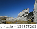 下北半島の奇岩群（仏ヶ浦） 134375203