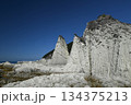 下北半島の奇岩群（仏ヶ浦） 134375213