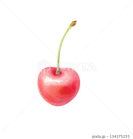 水彩のサクランボ1粒 葉なし単体イラスト 134375255