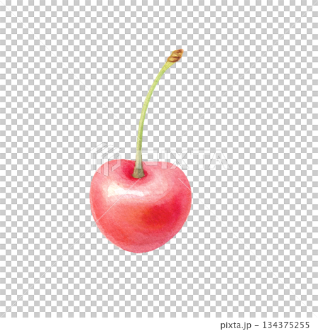 水彩のサクランボ1粒 葉なし単体イラスト 134375255