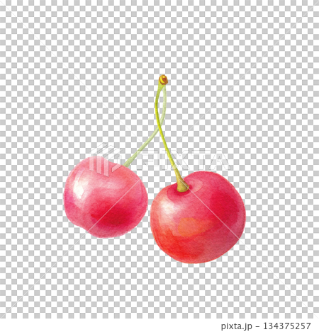 水彩のサクランボ2粒 葉なし単体イラスト 134375257