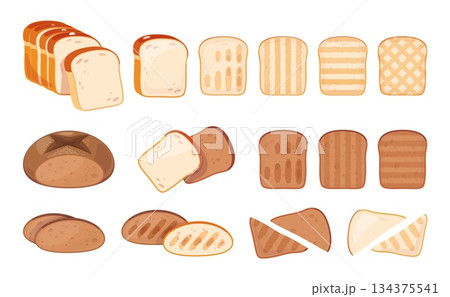 Cartoon toasts. Different types of sliced bakery products, rye, whole grain and wheat white flour, roast toasted cut breads pieces, traditional breakfast meal ingredient, classy vector set 134375541