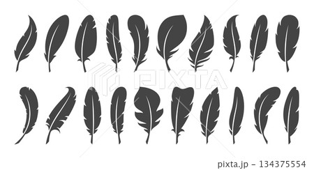 Feather silhouettes. Flat style icons, goose or dove bird soft plumage black elements, isolated monochrome simple objects for graphic design, natural decorative items, classy vector set 134375554
