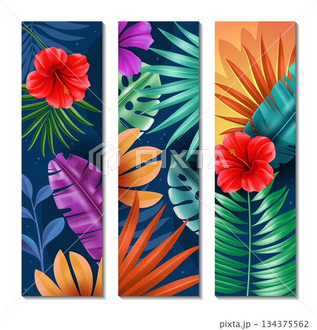 Realistic exotic plants. Different colorful tropical leaves, banana tree and palm, red hibiscus. Jungle flora background design. Botanical decorative posters. Vector vertical banners set 134375562