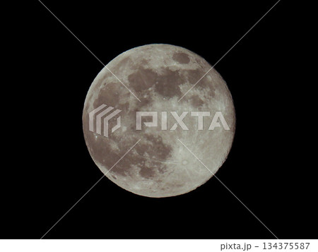 満月（2025/12/05撮影) 134375587