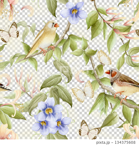 Spring garden flowers with birds and butterflies watercolor seamless pattern on white. Blooming honeysuckle, purple Thunbergia and finch songbirds on vine blossom repeat background. Climbing plant Spring garden flowers with birds and butterflies watercolor seamless pattern on white. Blooming honeysuckle, purple Thunbergia and finch songbirds on vine blossom repeat background. Climbing plant 134375608