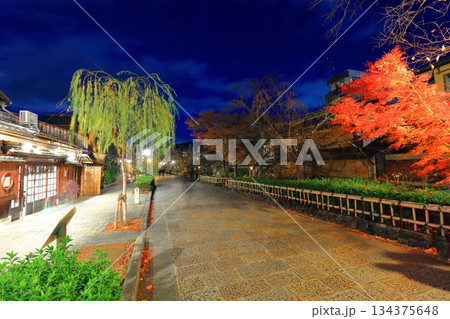 【京都府】祇園白川の夜景 【京都府】祇園白川の夜景 134375648